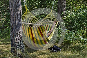 View of glade with hammock in the autumnal forest, Ð Ð¸Ð»Ð° mountain